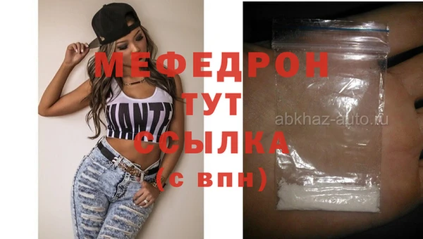 молекула духа Вяземский