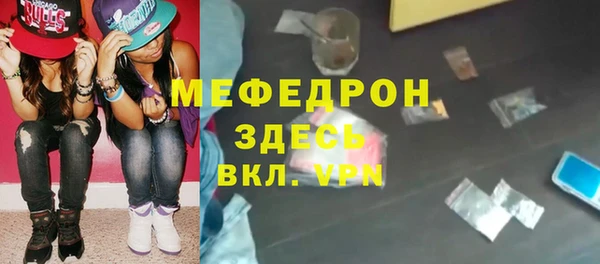 молекула духа Вяземский