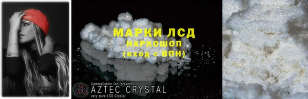 молекула духа Вяземский