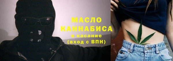 молекула духа Вяземский