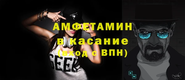 молекула духа Вяземский