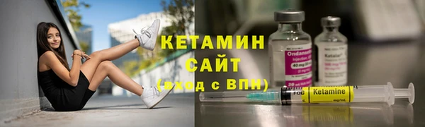 молекула духа Вяземский