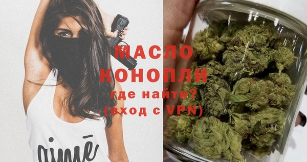 молекула духа Вяземский