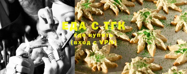 молекула духа Вяземский