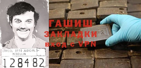 молекула духа Вяземский