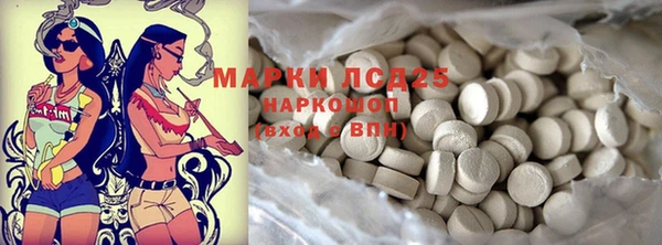 молекула духа Вяземский
