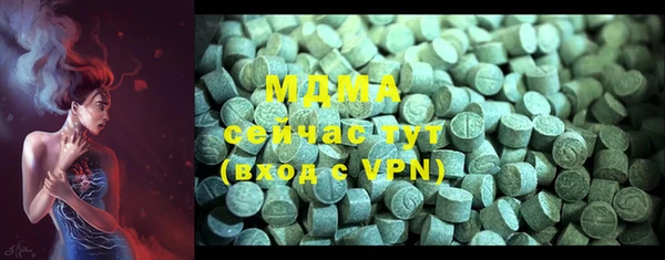 молекула духа Вяземский