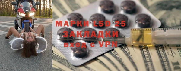 молекула духа Вяземский