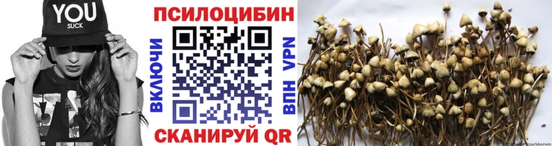 Галлюциногенные грибы Cubensis  Змеиногорск 