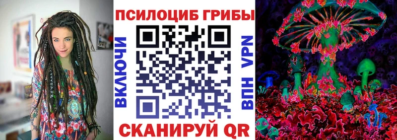 Псилоцибиновые грибы Psilocybe Змеиногорск